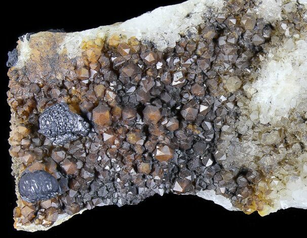 Quartz Cluster with Botryoidal Pyrolusite - Diamond Hill, SC #72048